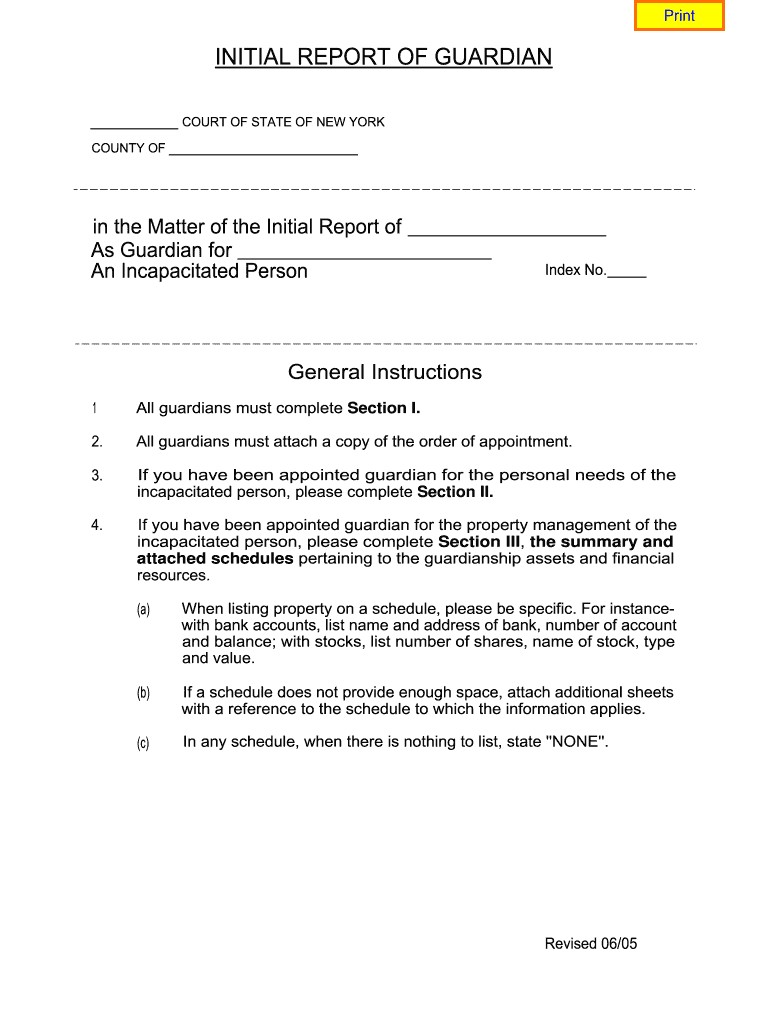 2005 Form NY Initial Report Of Guardian Fill Online Printable 