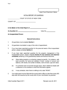 2011 Form NY Initial Report Of Guardian Fill Online Printable