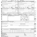 2019 New York DMV Forms Fillable Printable PDF Forms Handypdf