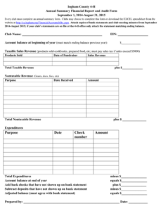 Annual Financial Report Audit Form