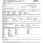 Blank Incident Report Template 18 Free PDF Word Docs Format