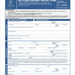 Blank Incident Report Template 18 Free PDF Word Docs Format