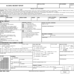 DD Form 1920 Download Fillable PDF Or Fill Online Alcohol Incident