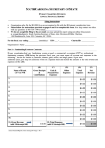 Fillable Annual Financial Report Form For Charities South Carolina