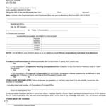 Fillable Form Nfp 114 05 Domestic foreign Corporation Annual Report