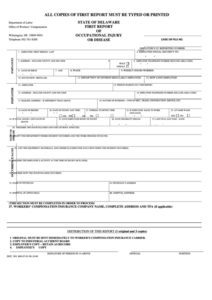 First Report Of Occupational Injury Or Disease Form Delaware