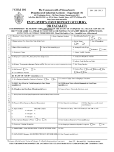 Form 101 Fill Online Printable Fillable Blank PdfFiller