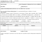 Form 3007 Download Fillable PDF Or Fill Online Critical Incident