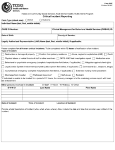 Form 3007 Download Fillable PDF Or Fill Online Critical Incident