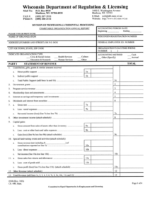 Form 308 Charitable Organization Annual Report Wisconsin