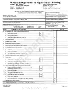 Form 308 Charitable Organization Annual Report Wisconsin