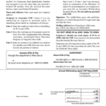 Form 44 007 Annual Verified Summary Of Payments Report Vsp 2006