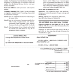 Form 44 007 Annual Verified Summary Of Payments Report Vsp 2008