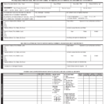 Form AA 600 Download Printable PDF Or Fill Online Driver s Accident