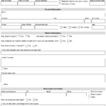 Form BSPE707 Download Fillable PDF Or Fill Online Motorcycle Crash
