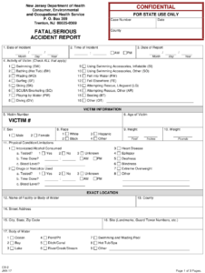 Form CB 2 Download Printable PDF Or Fill Online Fatal Serious Accident