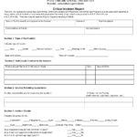 Form CCL 028A Download Printable PDF Or Fill Online Critical Incident