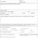 Form CNG 200 Download Printable PDF Or Fill Online Cng Incident And Or