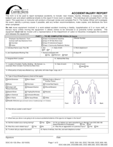 Form DOC03 133 Download Printable PDF Or Fill Online Accident Injury