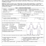Form DOC03 133 Download Printable PDF Or Fill Online Accident Injury