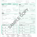 Form FR300p Download Printable PDF Or Fill Online Police Crash Report