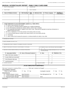 Form LIC624B Download Fillable PDF Or Fill Online Unusual Incident