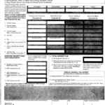 Form Oa Domestic Form 132 Domestic Unemployment Insurance Employee