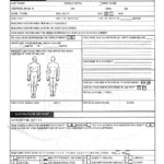 Form S 41A Download Fillable PDF Or Fill Online Incident Injury Report
