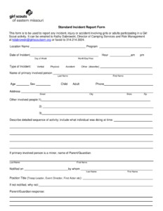 FREE 12 Standard Report Forms Templates In PDF MS Word