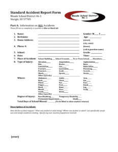 FREE 12 Standard Report Forms Templates In PDF MS Word