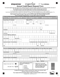 FREE 13 Credit Report Forms In PDF MS Word