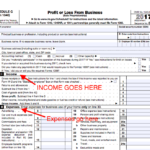 How Does Single Member Llc File Taxes Tax Walls