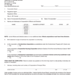Illinois Corporate Annual Report Form Pdf Fill Online Printable