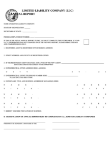 Limited Liability Company Llc Annual Report Form North Carolina