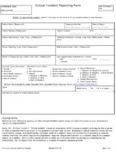 Minnesota Critical Incident Reporting Form Download Printable PDF