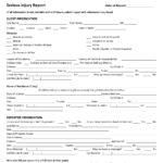 Minnesota Serious Injury Report Form Download Printable PDF