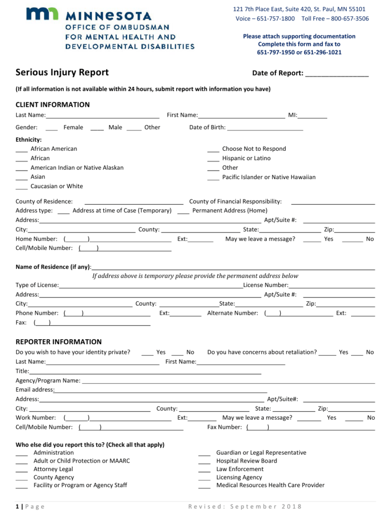 Minnesota Serious Injury Report Form Download Printable PDF 