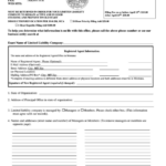 Montana Limited Liability Company Annual Report Form Printable Pdf Download