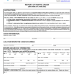 Nevada Accident Fill Online Printable Fillable Blank PdfFiller