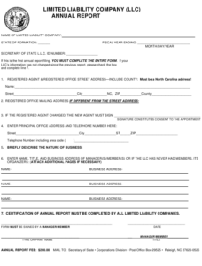 North Carolina Limited Liability Company Annual Report Form Download