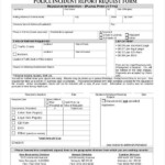 Police Incident Report Form Pdf