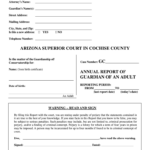 Sample Guardianship Annual Report Fill Out And Sign Printable PDF