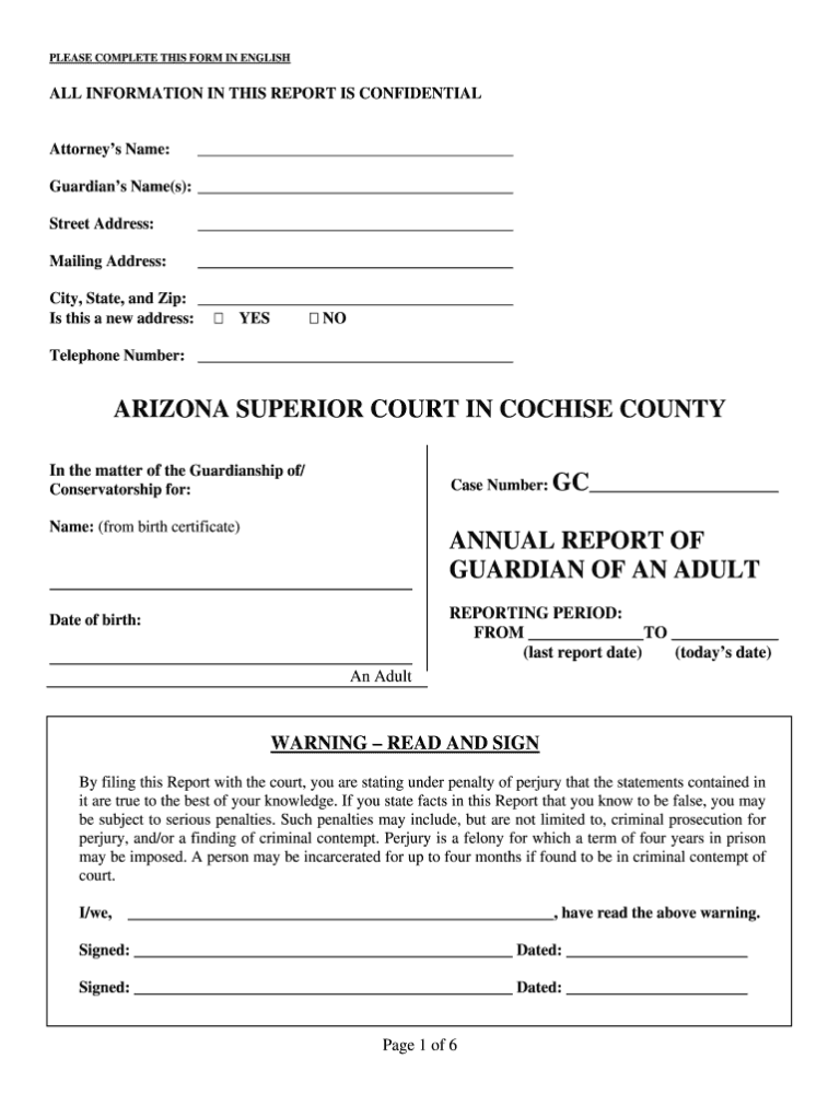 Sample Guardianship Annual Report Fill Out And Sign Printable PDF ...