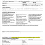 Significant Incident Report Form