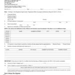 State Of Illinois Domestic Corporation Annual Report Fill Out And