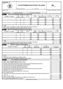 Tax Determination On Built In Gains Form Department Of The Treasury