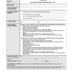 Top 6 Classroom Incident Report Form Templates Free To Download In PDF