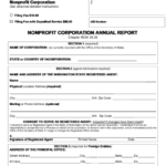 Top Non Profit Annual Report Templates Free To Download In PDF Format