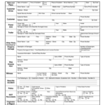 Truck Driver Accident Report Form Fill Out And Sign Printable PDF