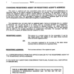 Wisconsin Nonstock Corporation Annual Report Instructions Form 17 I